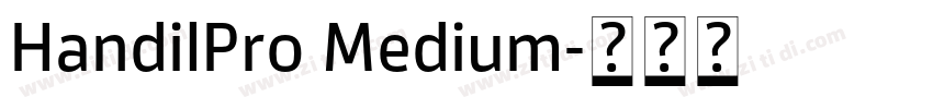 HandilPro Medium字体转换